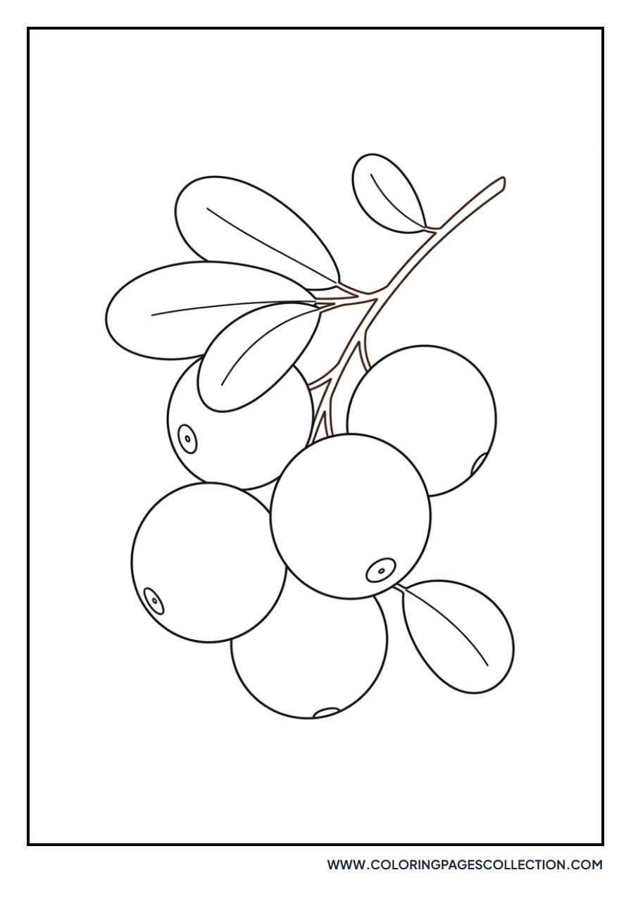 Cranberry Cluster