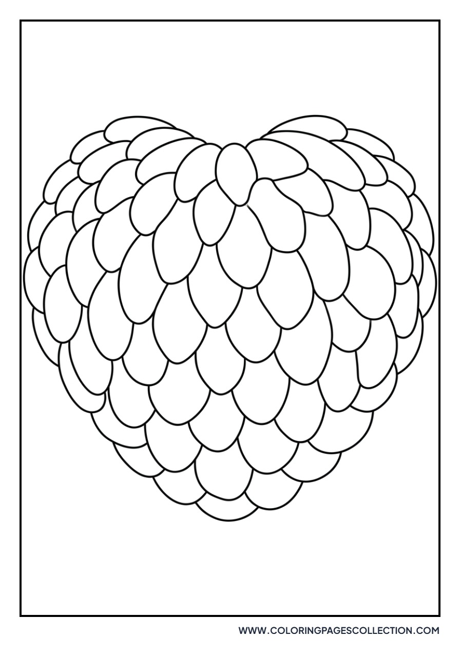 Custard Apple Fruit