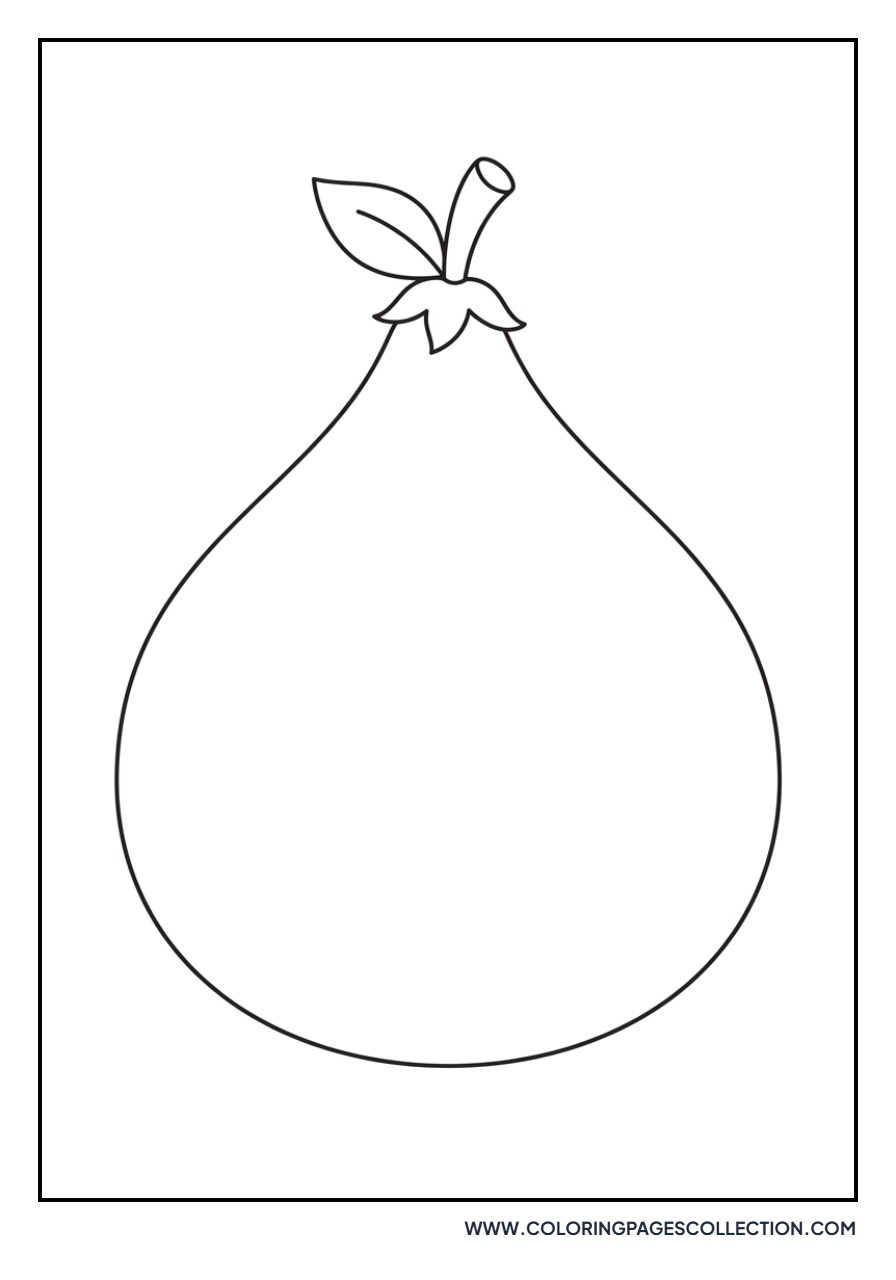 Fig Fruit Outline
