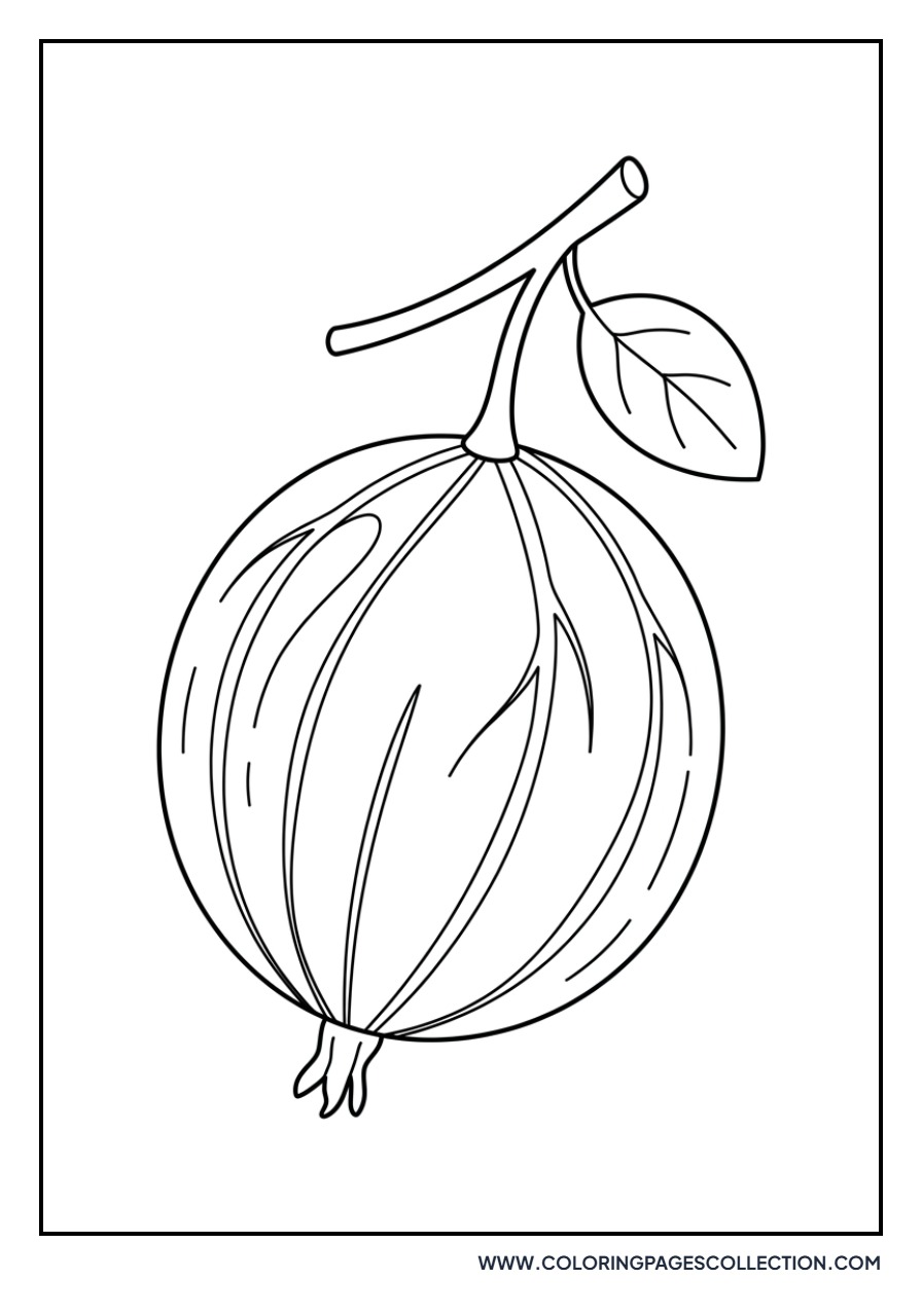 Gooseberry with Stripes