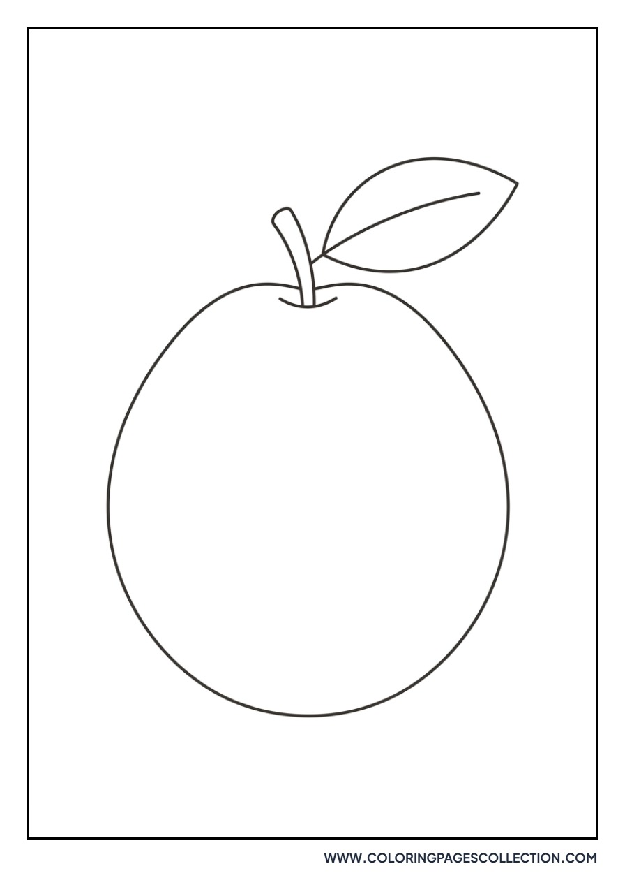 Guava Fruit