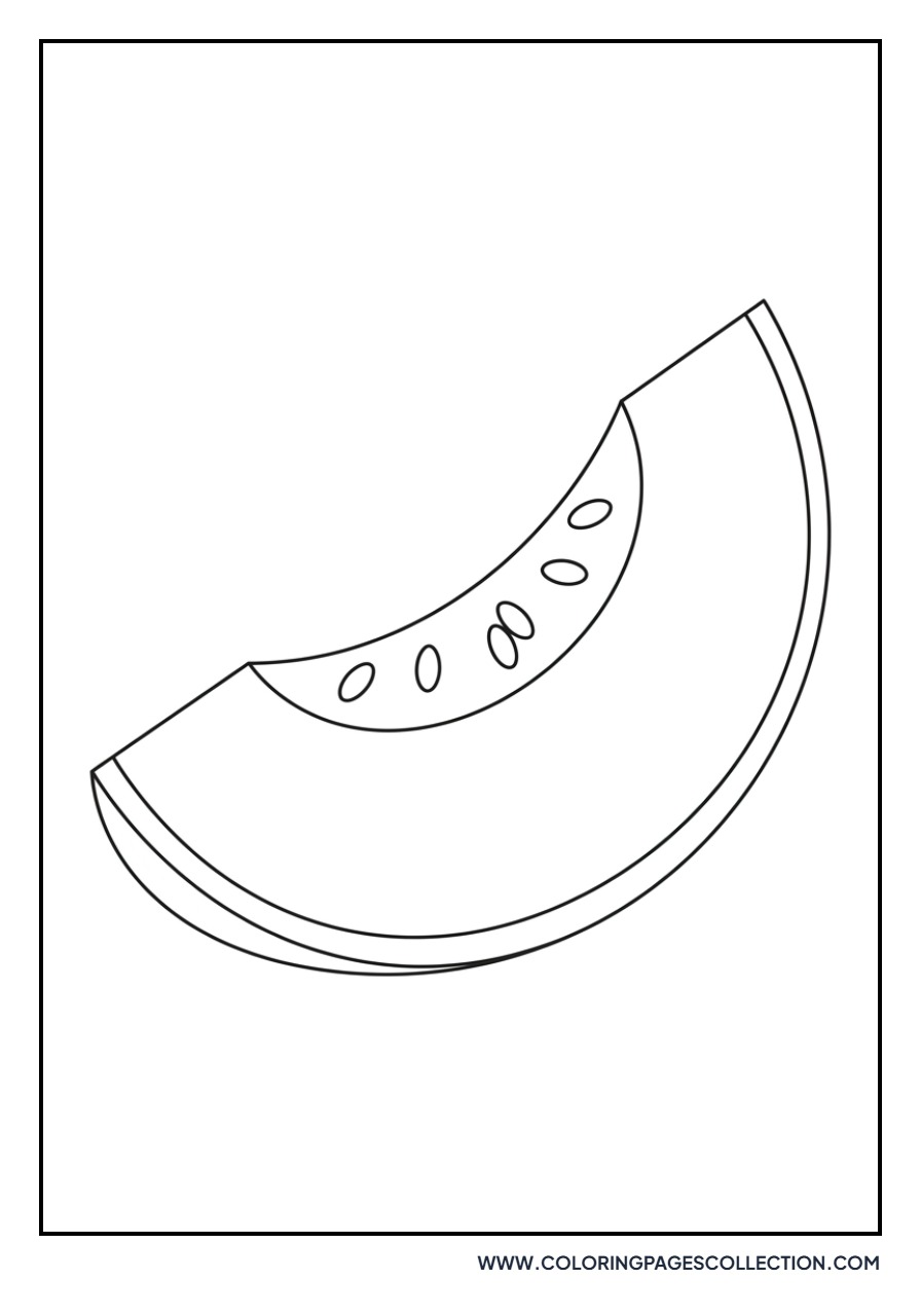 Honeydew Melon Slice