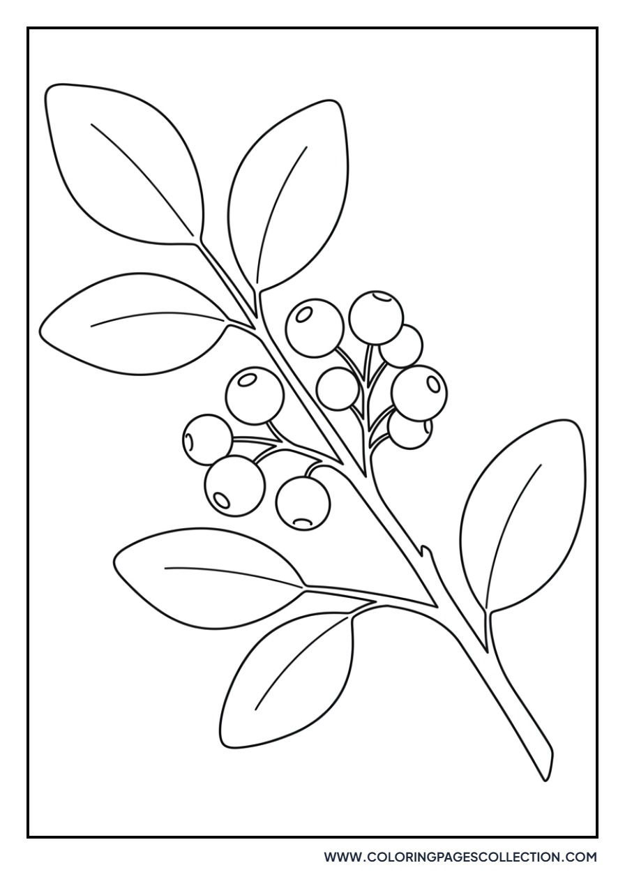 Huckleberry Sprig