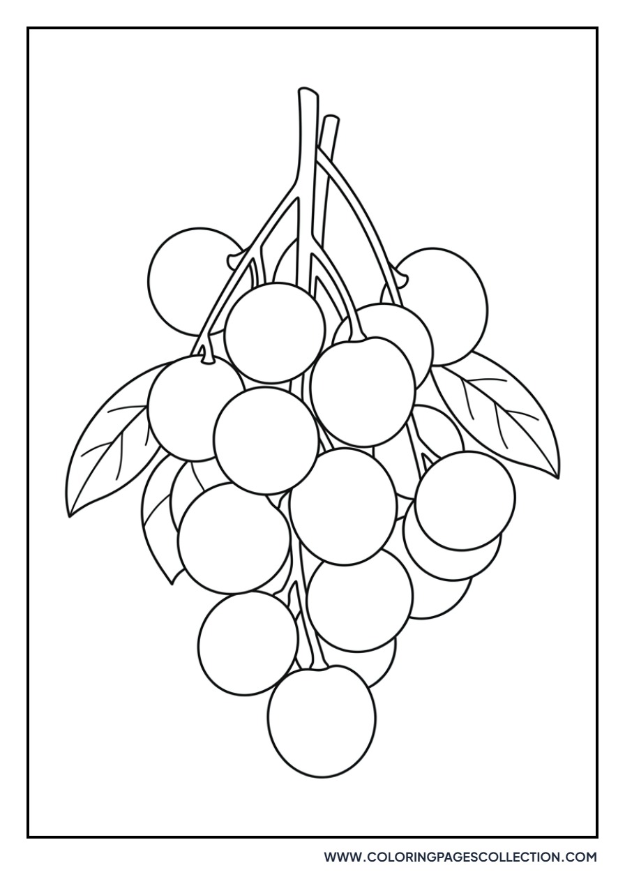 Longan Cluster