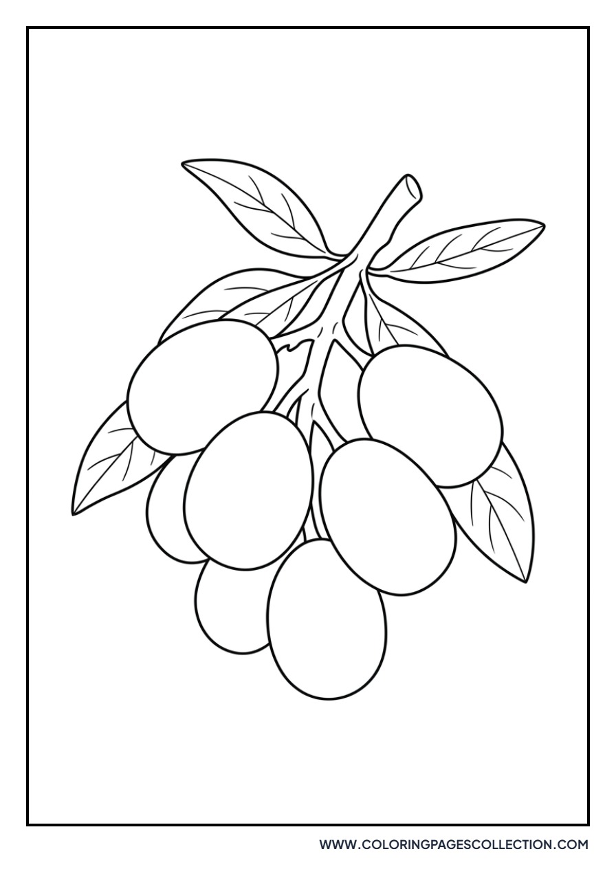 Loquat Fruit Cluster