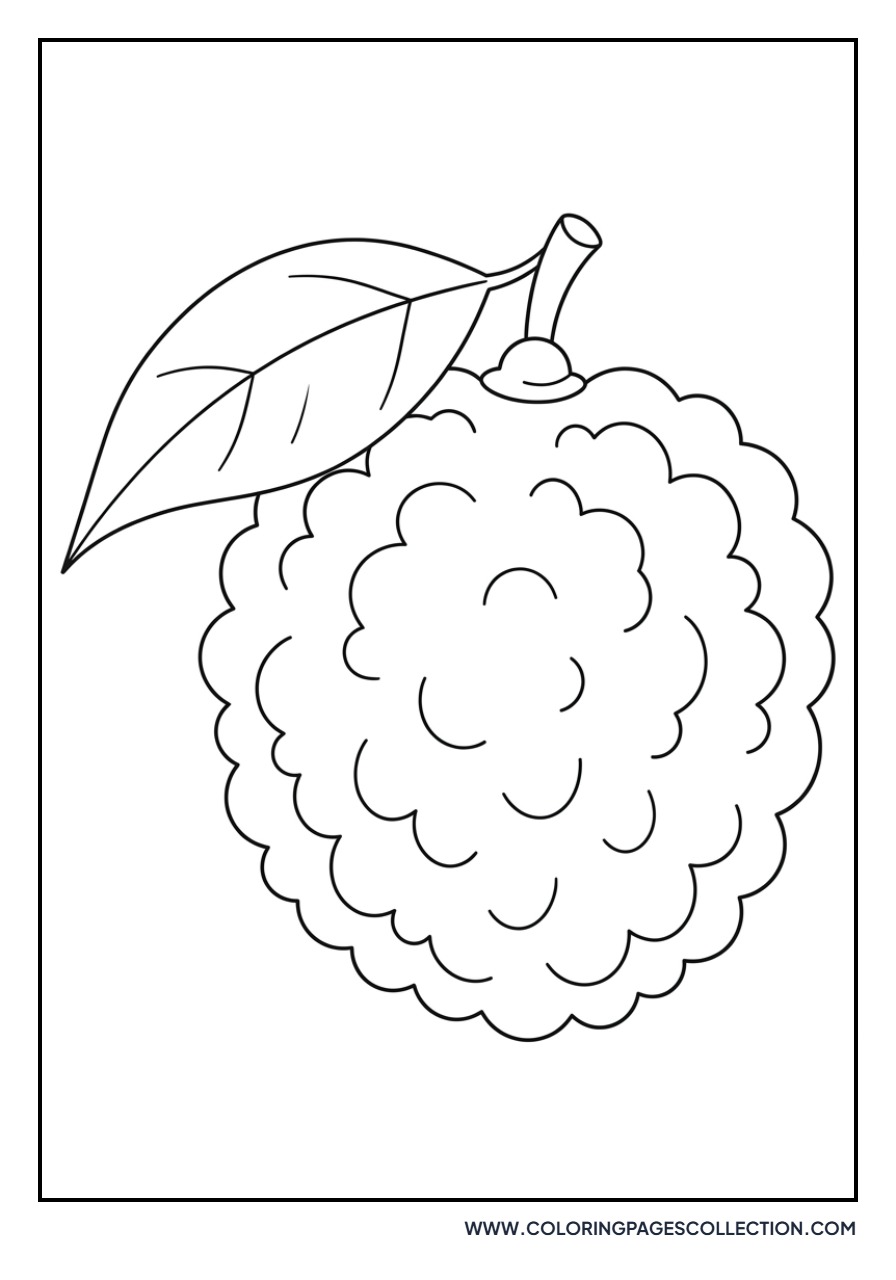 Lychee Fruit in Shell
