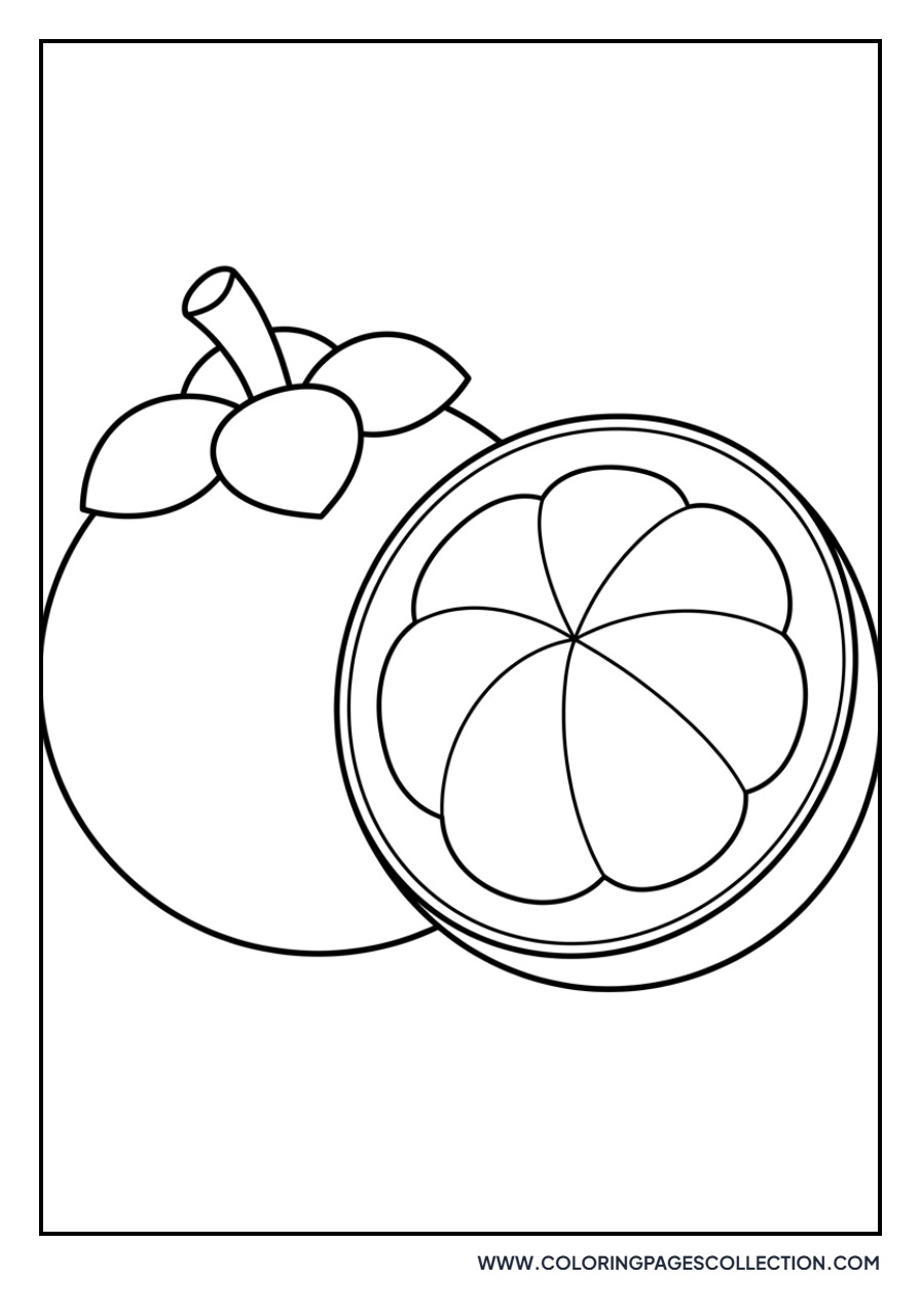 Mangosteen Fruit Cross Section