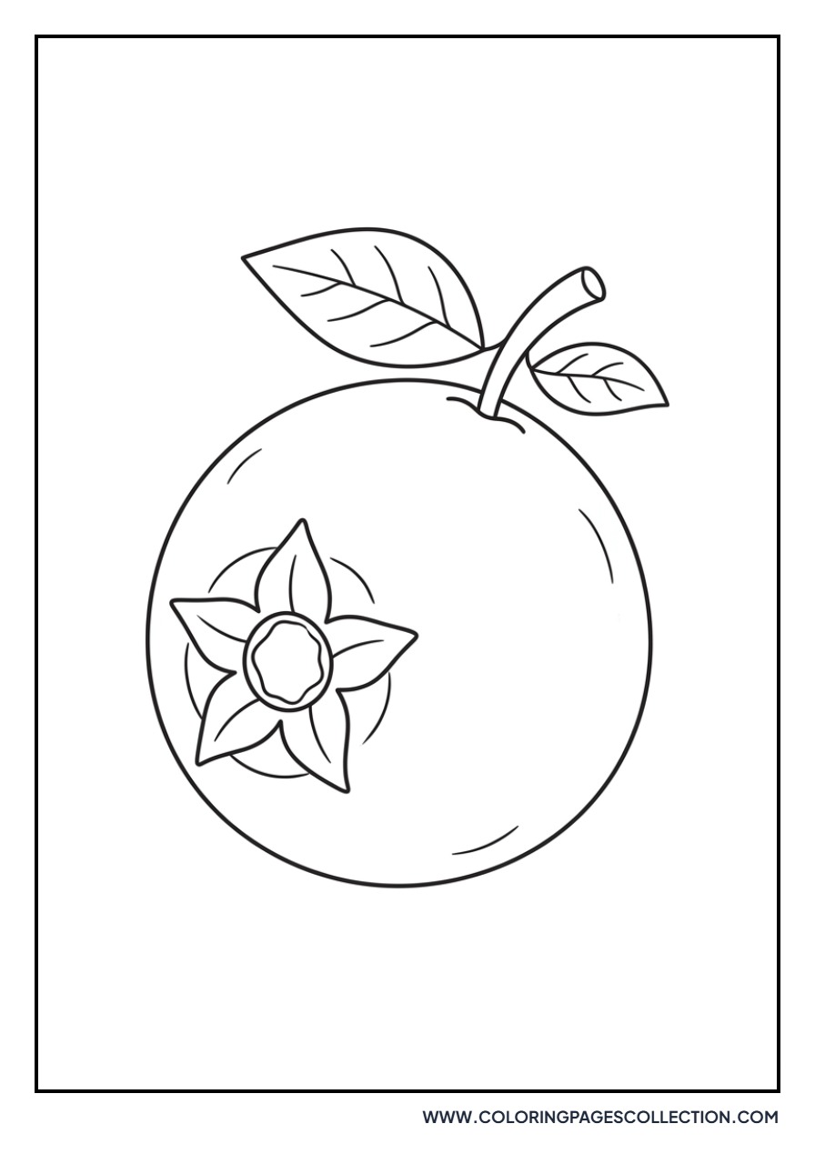 Medlar Fruit