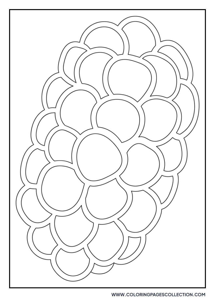 Mulberry Fruit