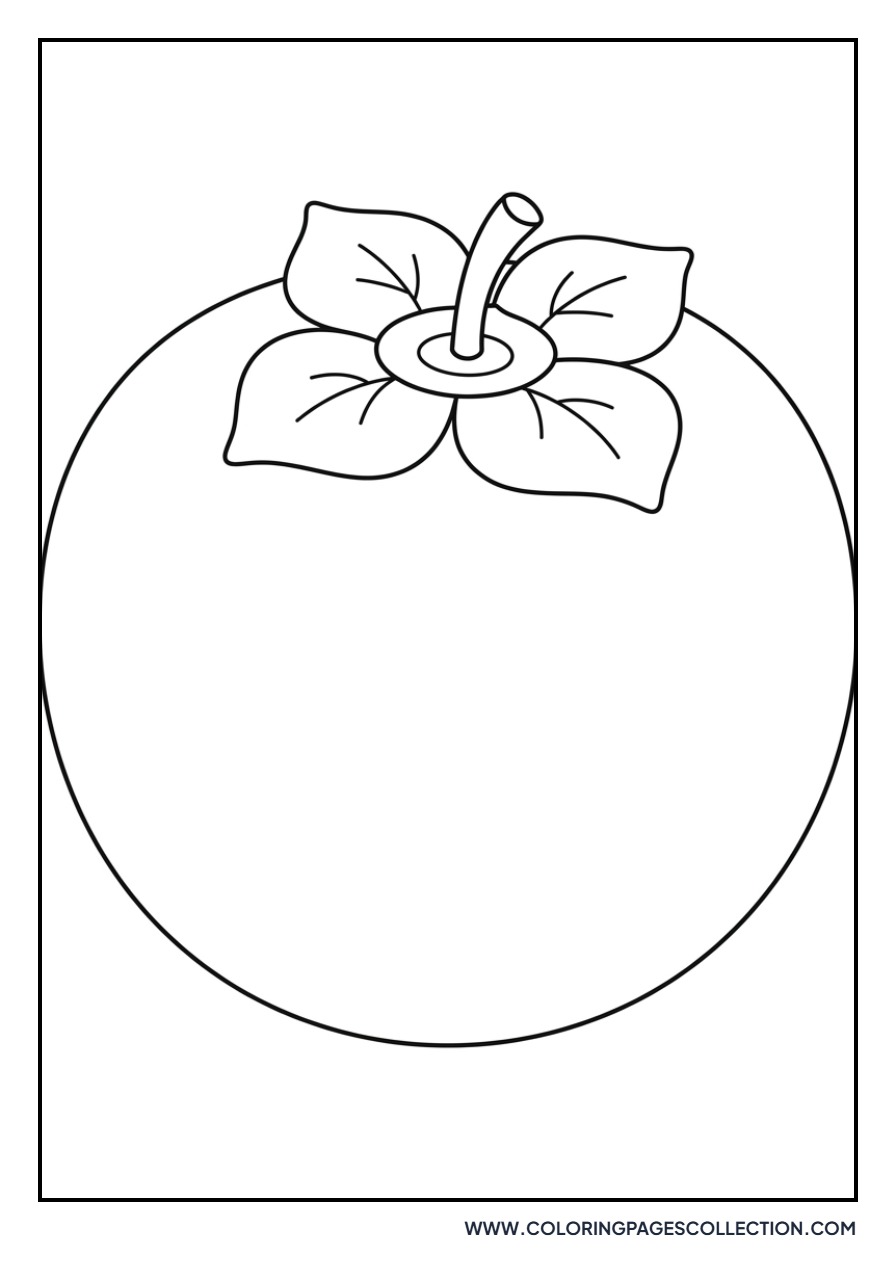 Persimmon Fruit