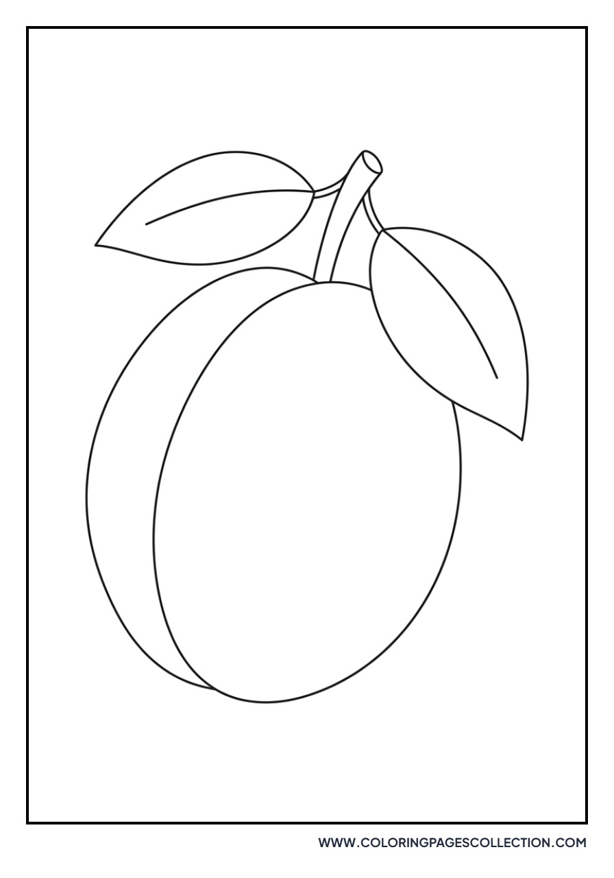 Plum with Smooth Skin