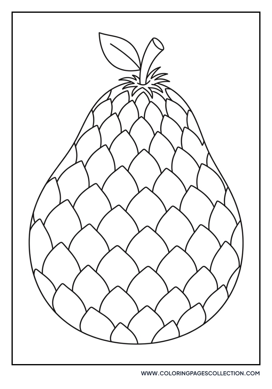 Salak (Snake Fruit)