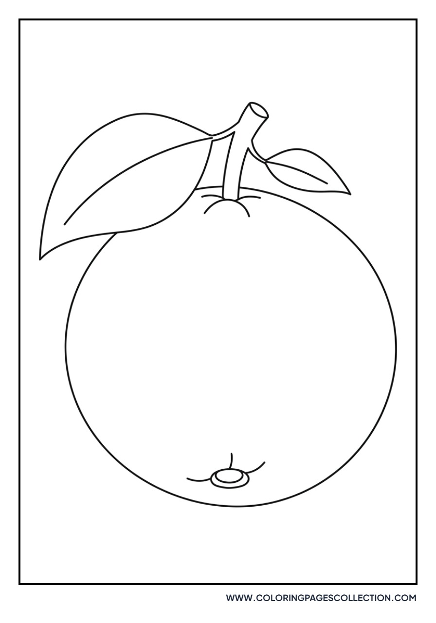 Santol Fruit