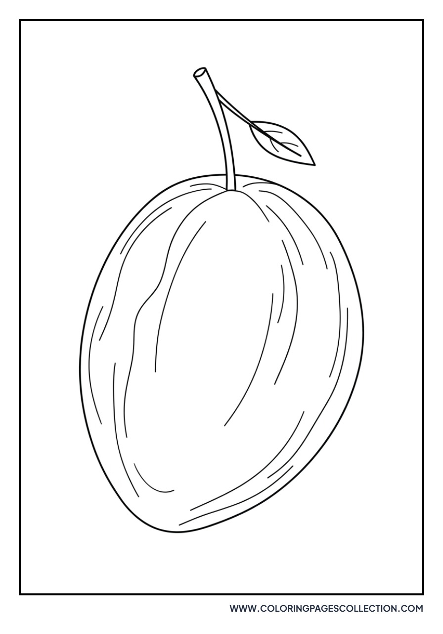 Sapodilla Fruit