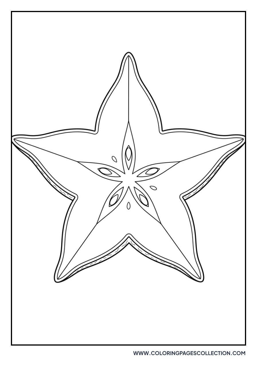Starfruit Cross Section
