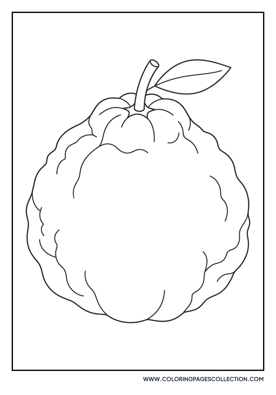 Ugli Fruit (Jamaican Tangelo)