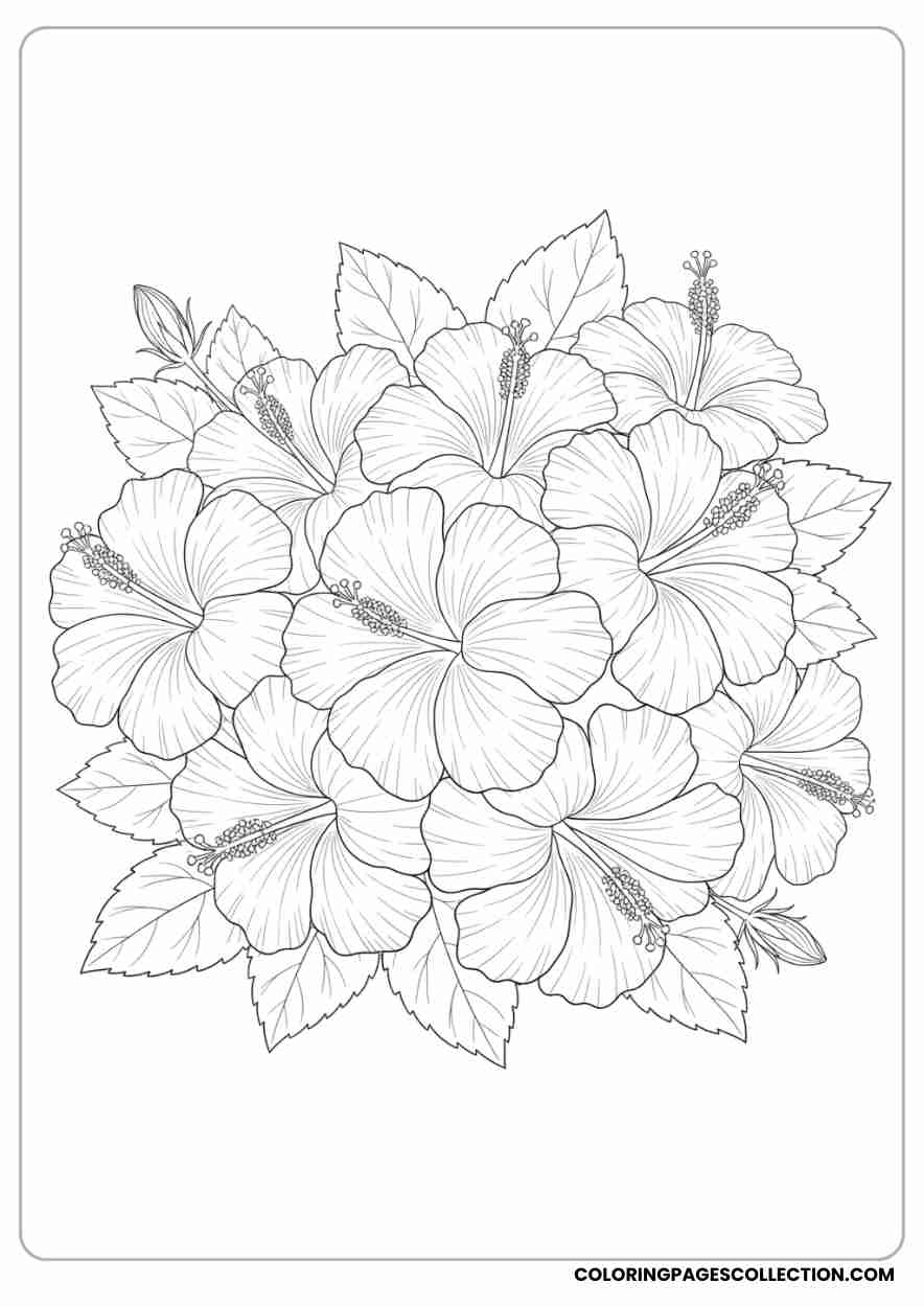 hibiscus coloring pages