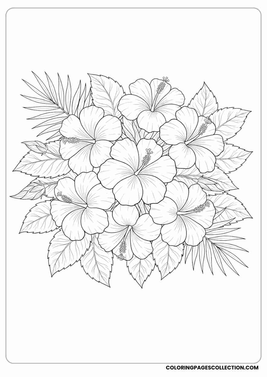 hibiscus coloring pages