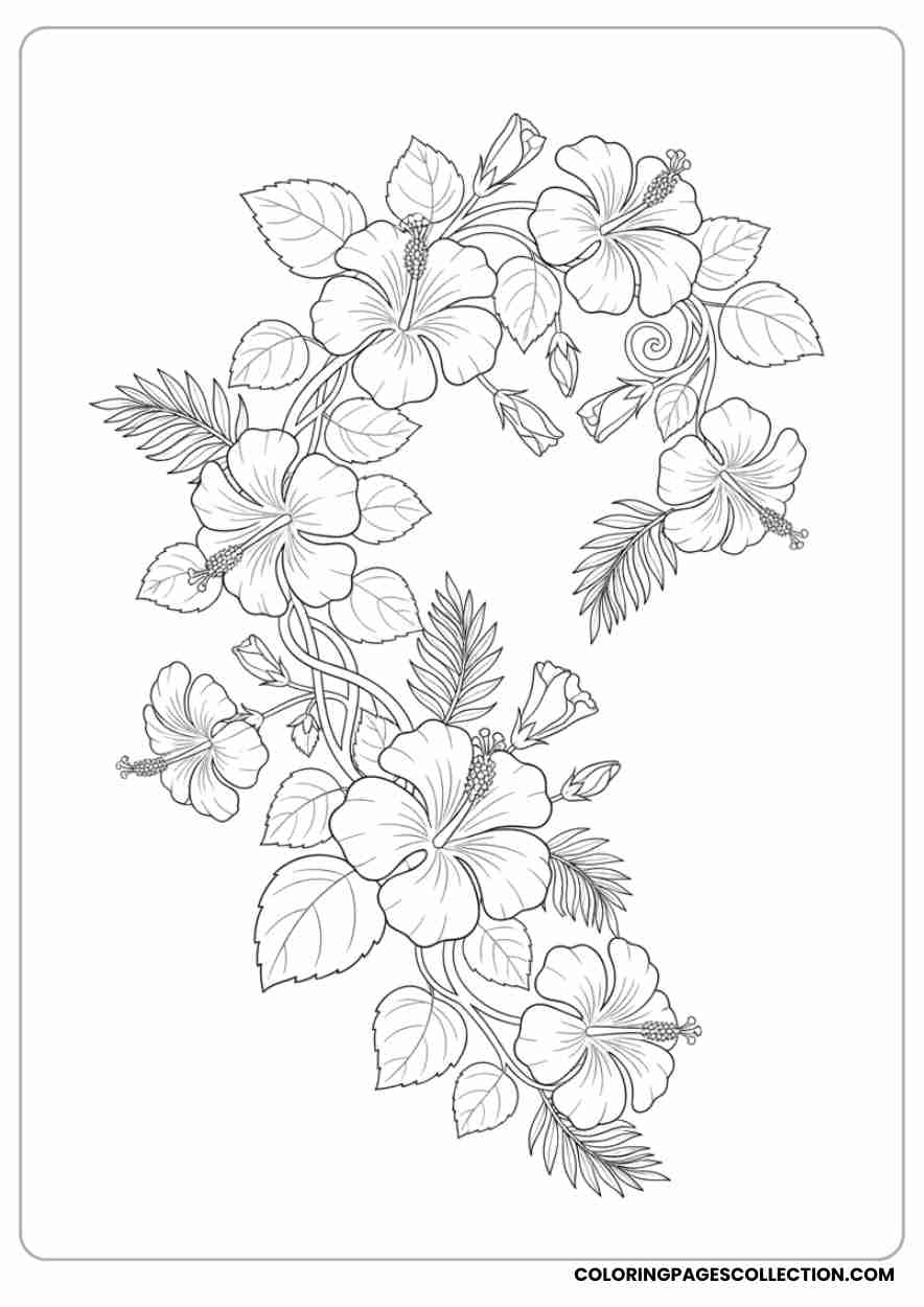 hibiscus coloring pages