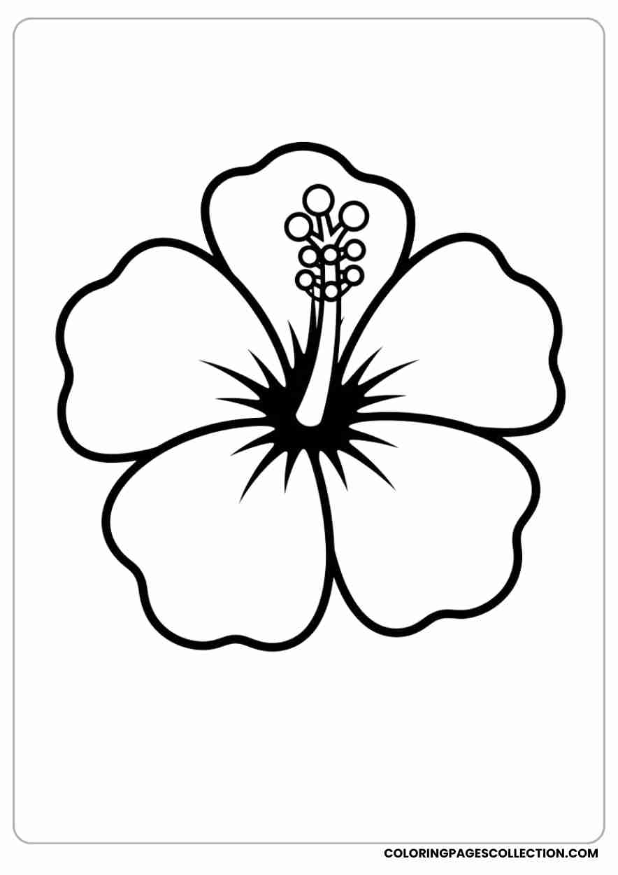 hibiscus coloring pages