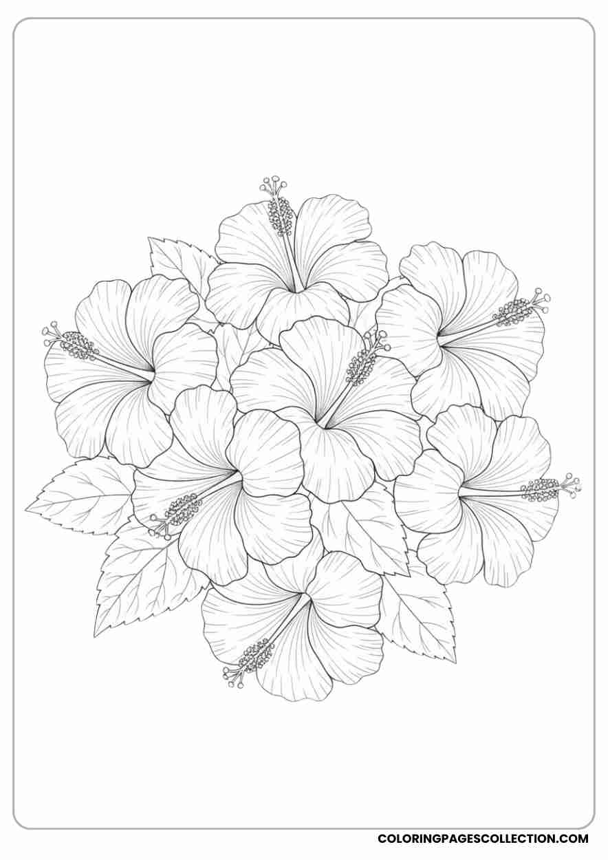 hibiscus coloring pages
