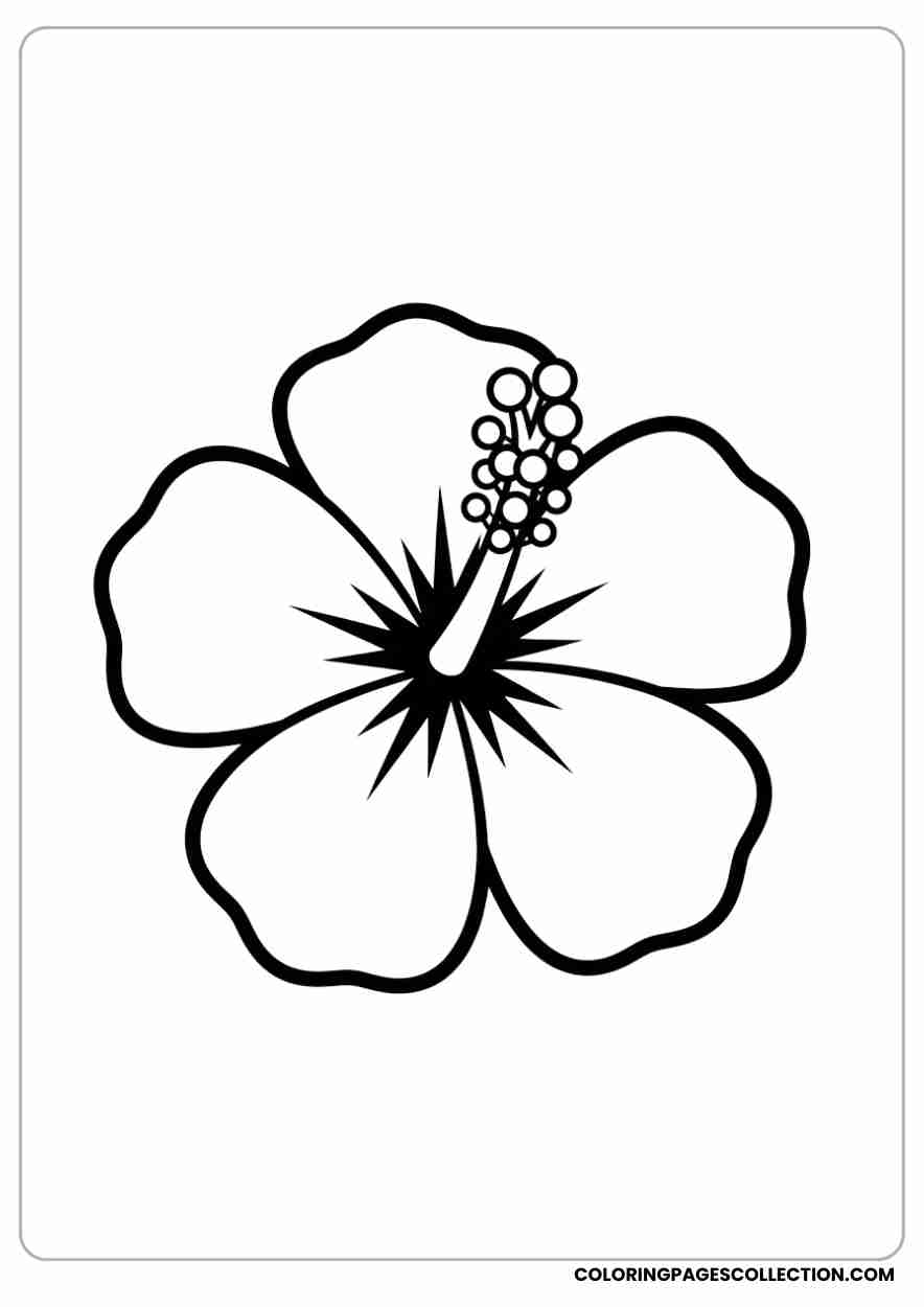 hibiscus coloring pages