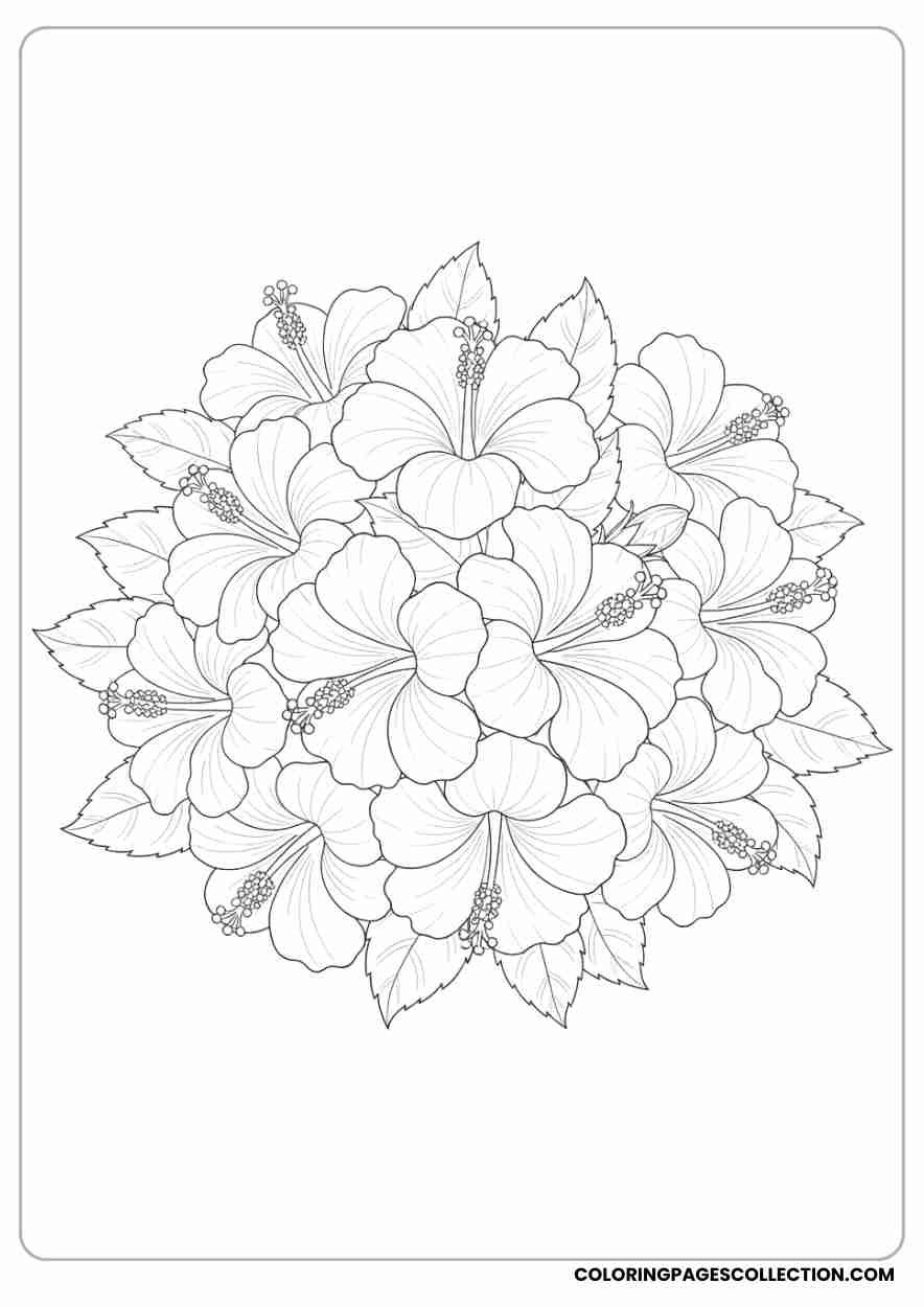 hibiscus coloring pages