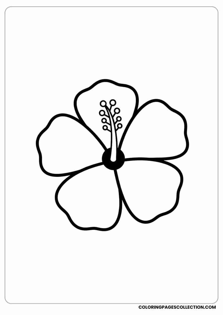 hibiscus coloring pages