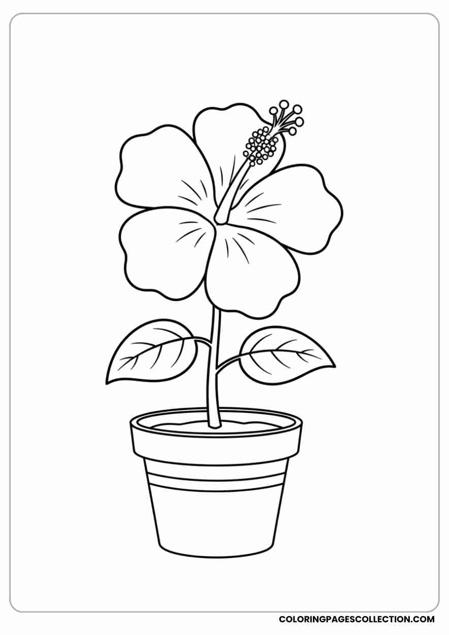 hibiscus coloring pages