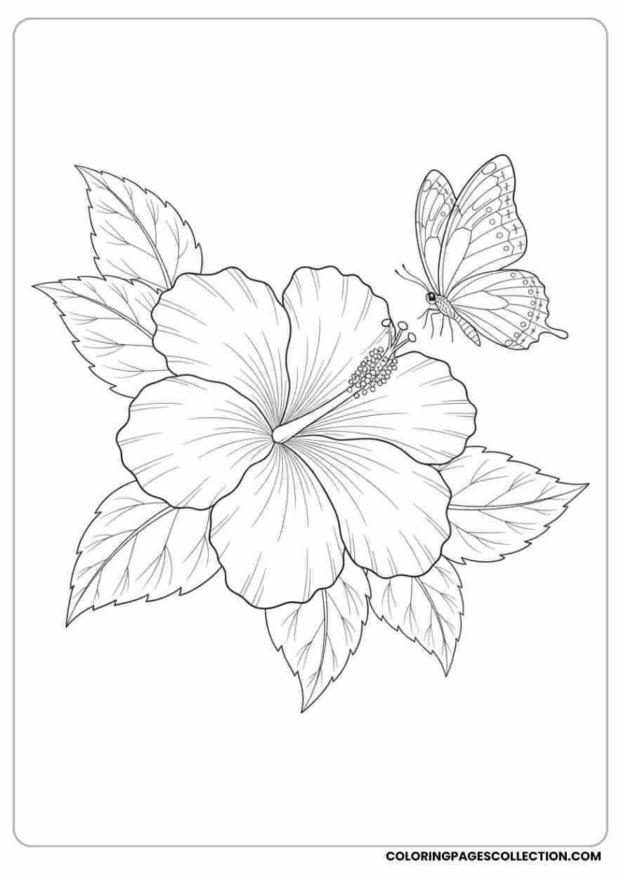 hibiscus coloring pages