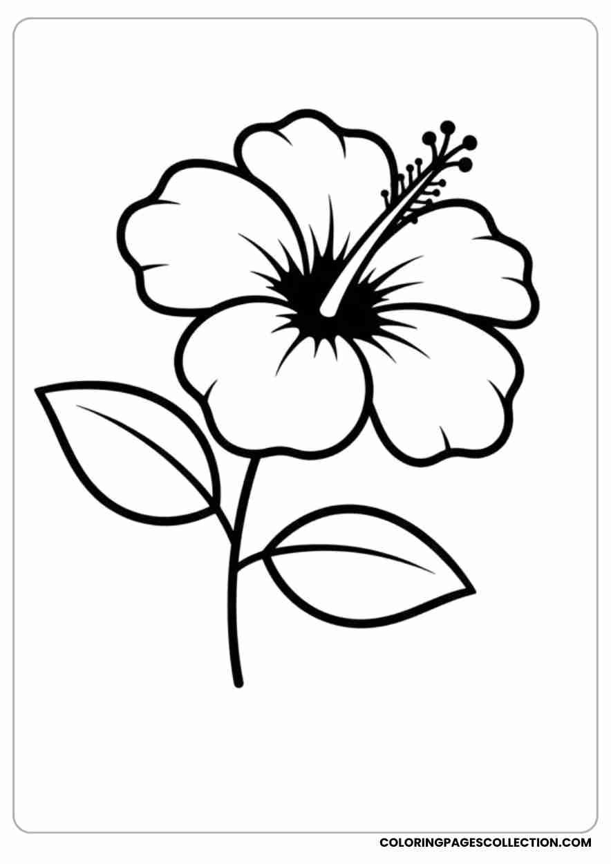 hibiscus coloring pages