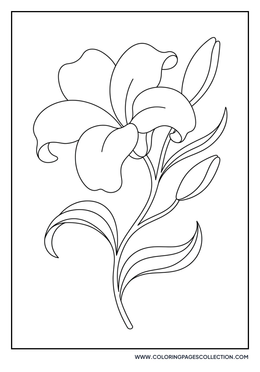 Artistic Zen Lily