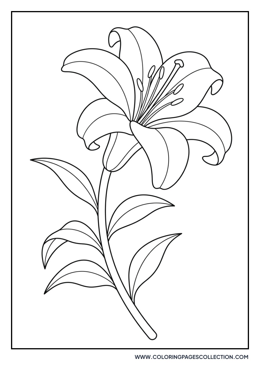 Classic Easter Lily Flower