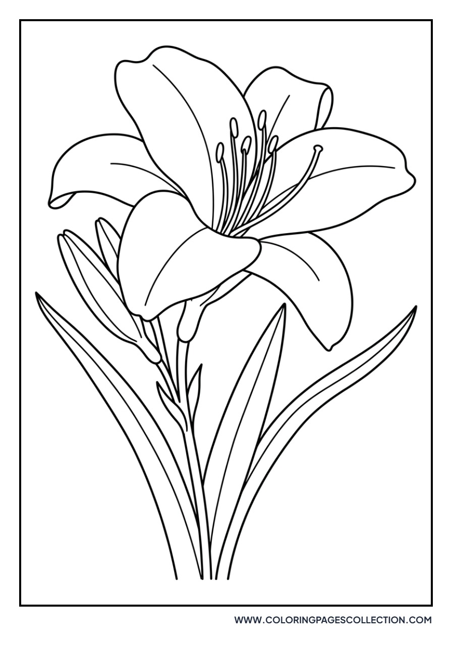 Daylily Garden Bloom