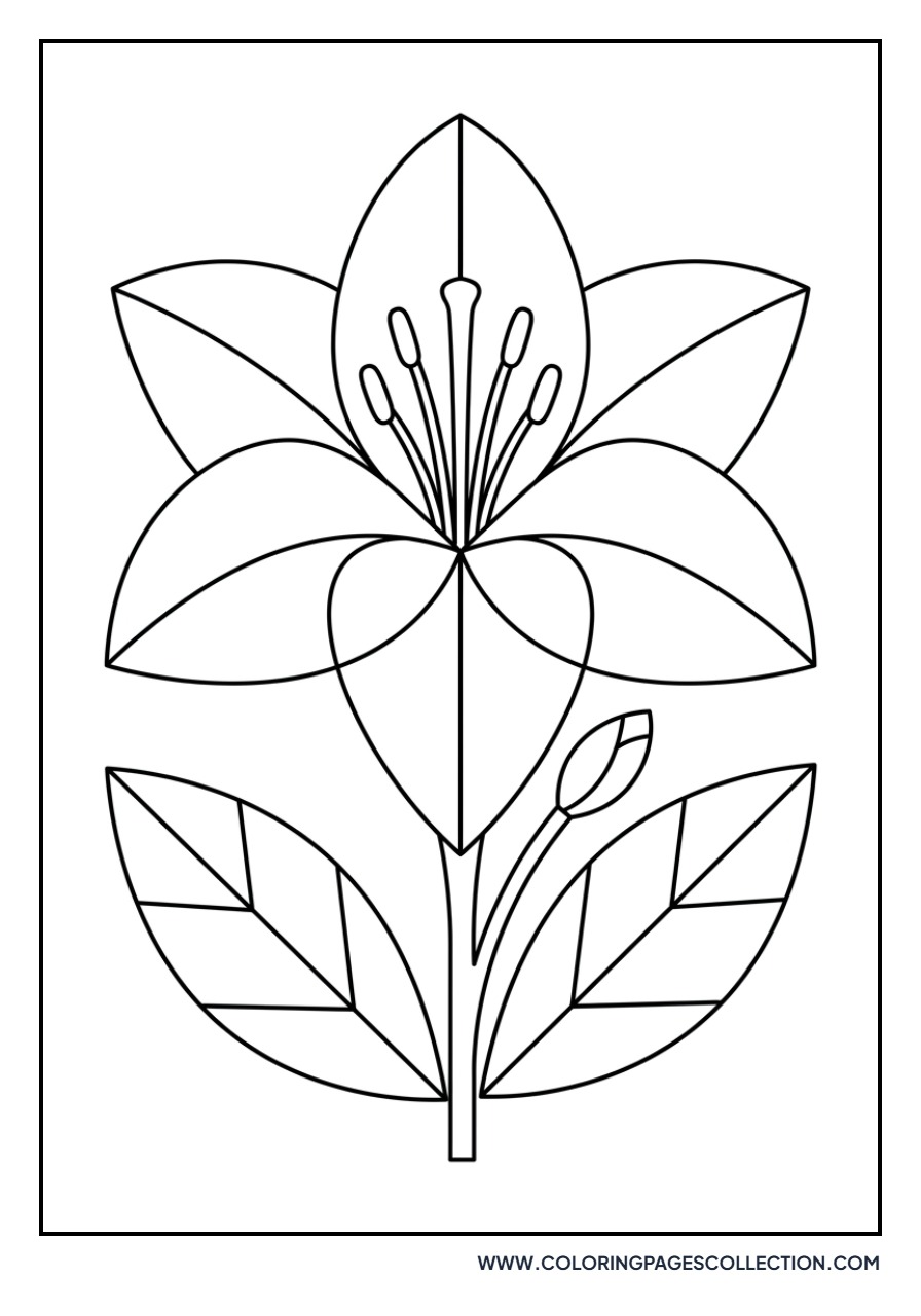 Geometric Art Lily