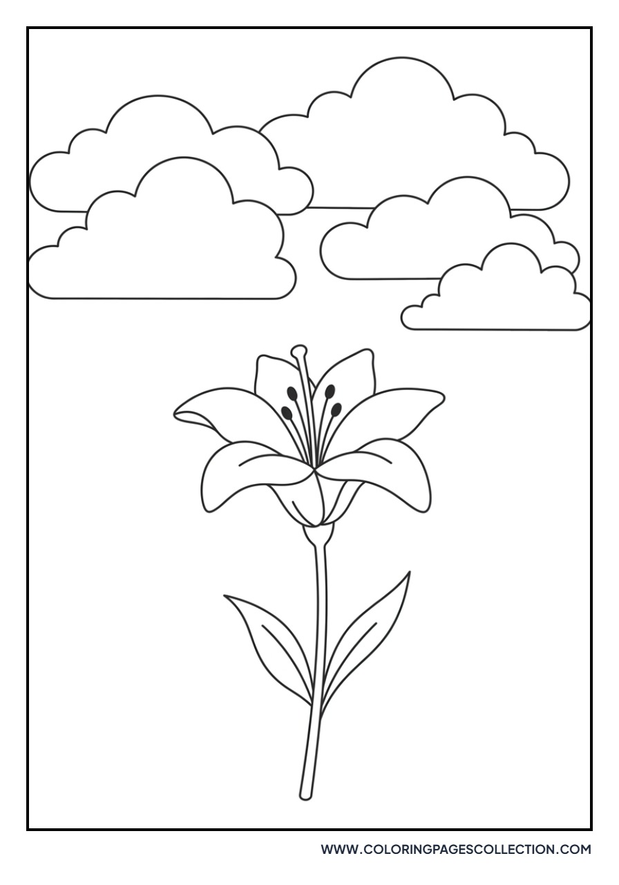 Lily and Clouds