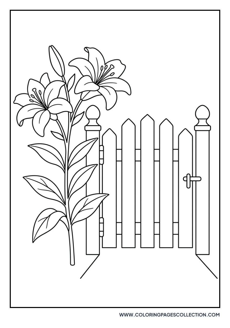 Lily and Fence Gate