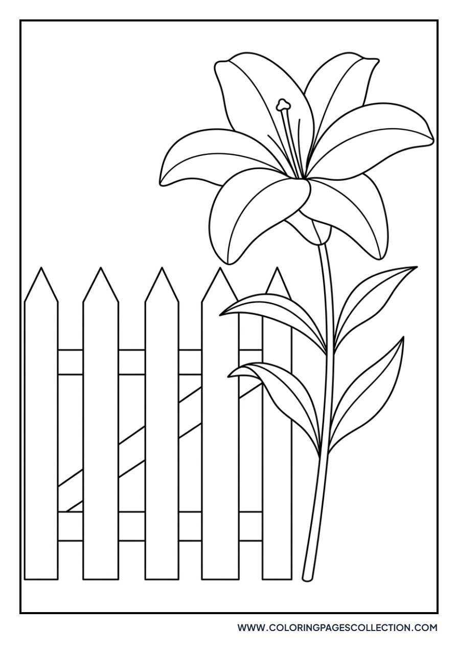 Lily and Fence