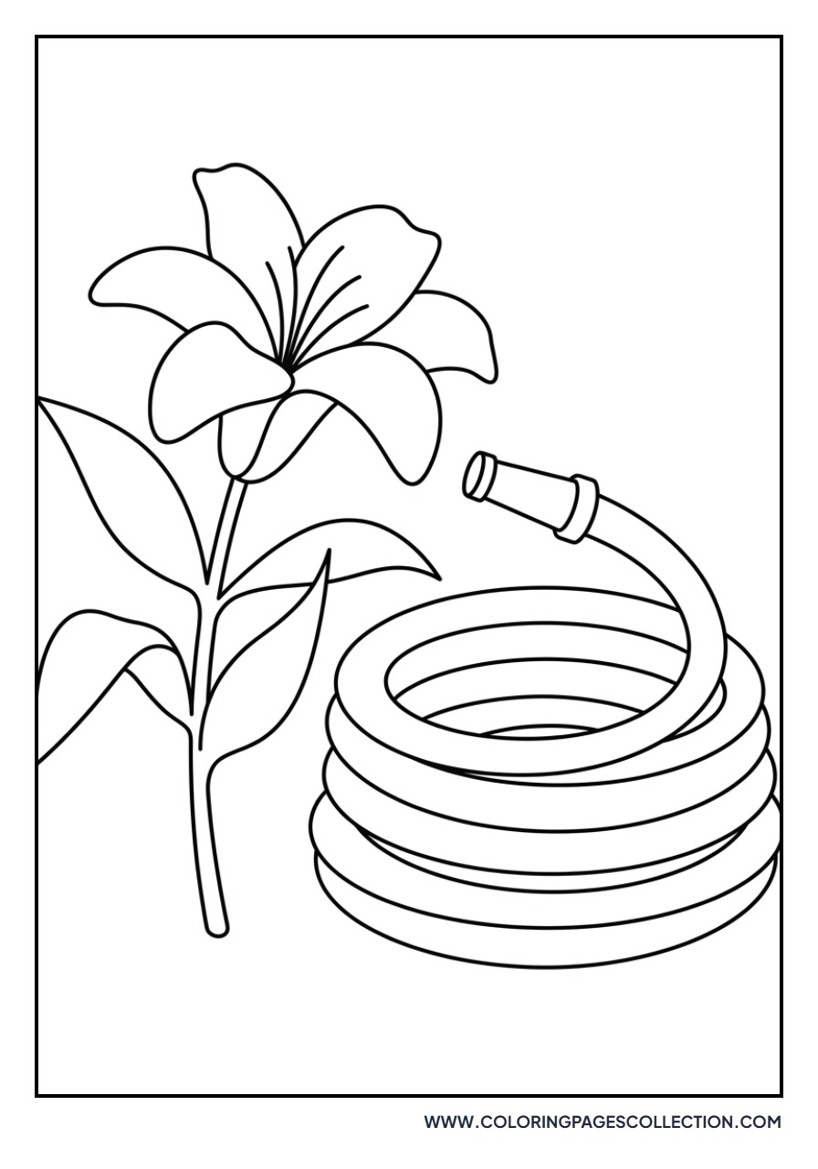 Lily and Garden Hose