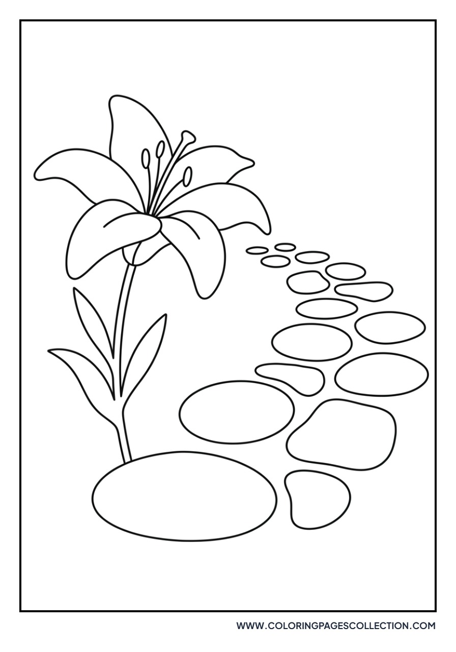 Lily and Garden Path