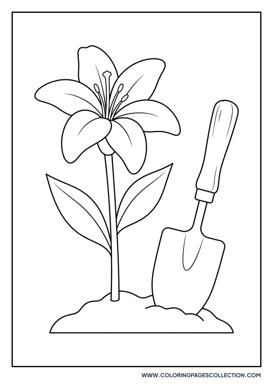Lily and Garden Spade