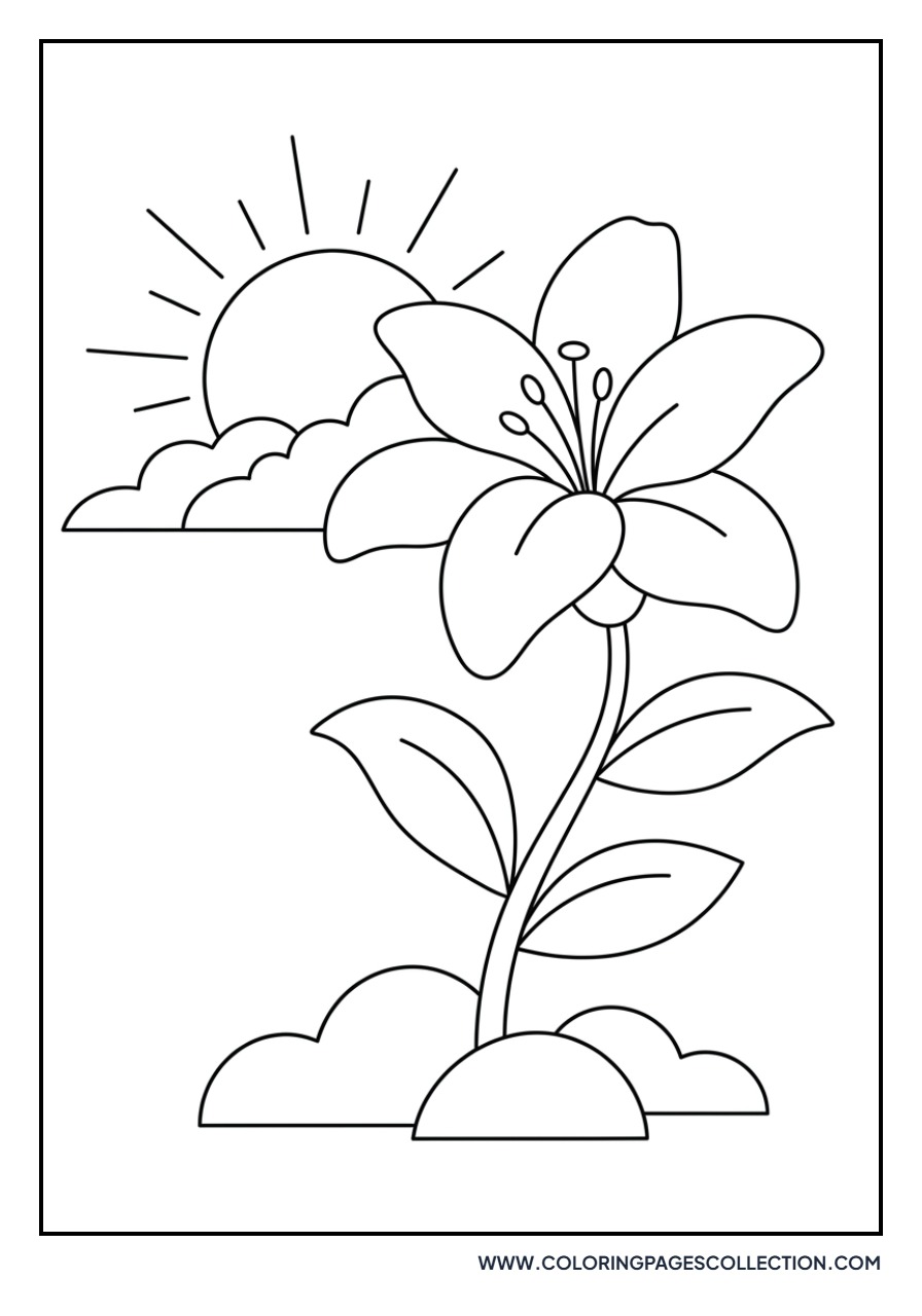 Lily and Morning Sun