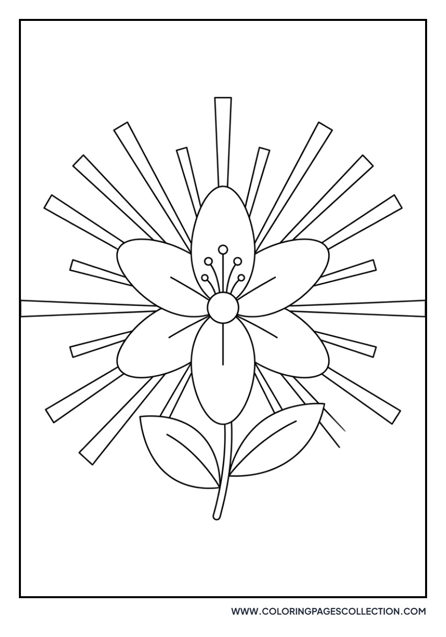 Lily and Sunburst