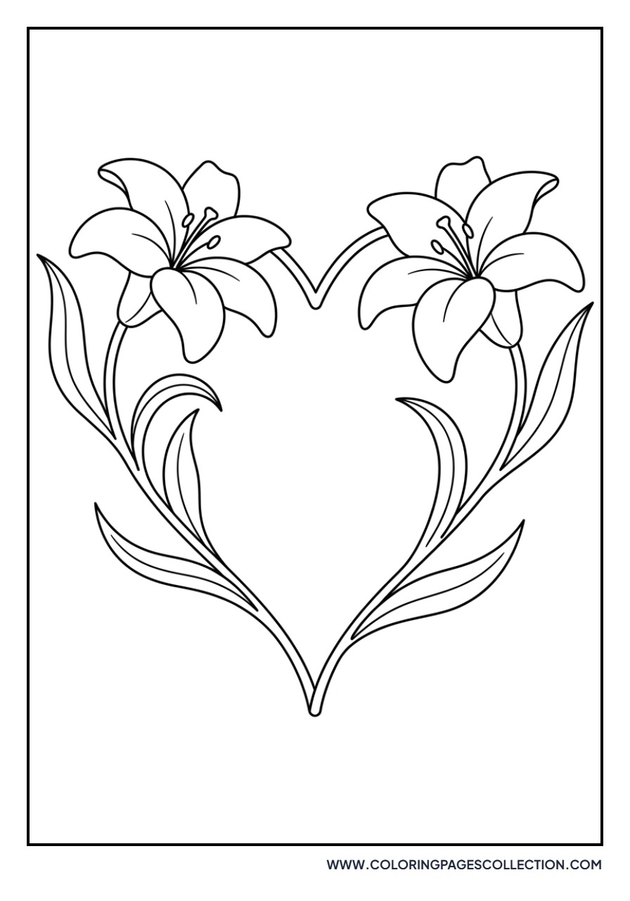 Lily Flower Heart Shape