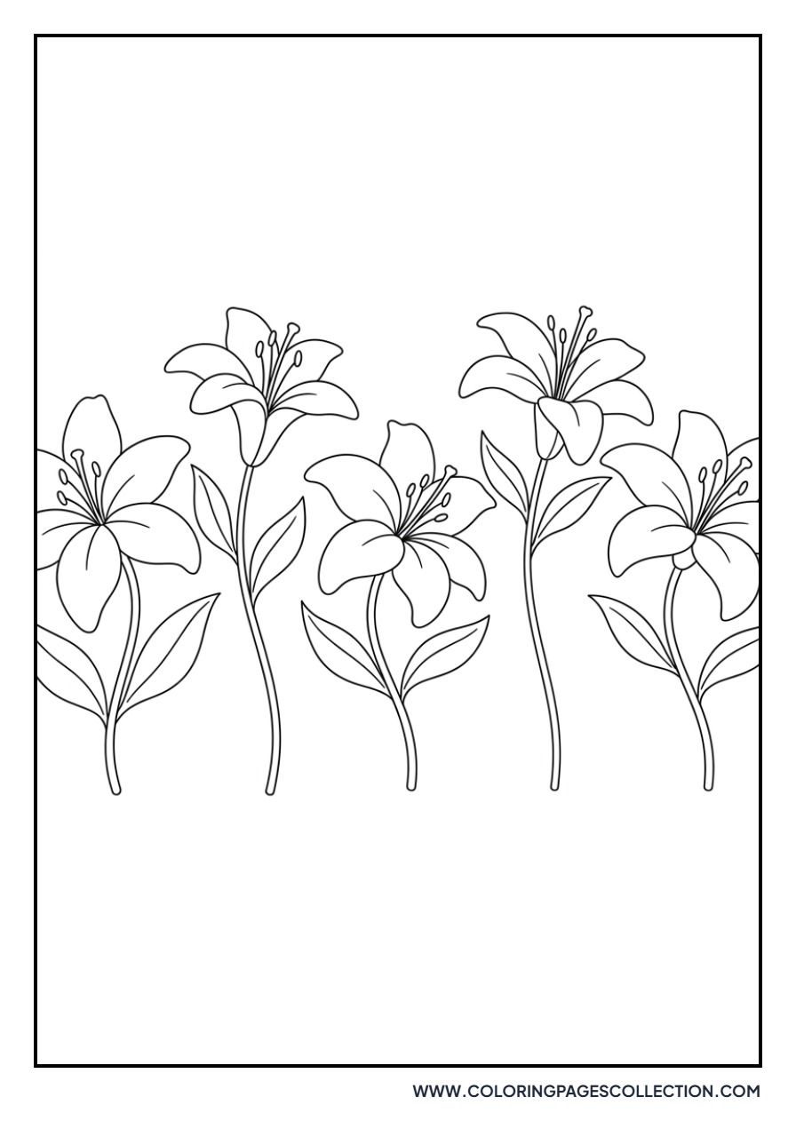 Lily Garden Border