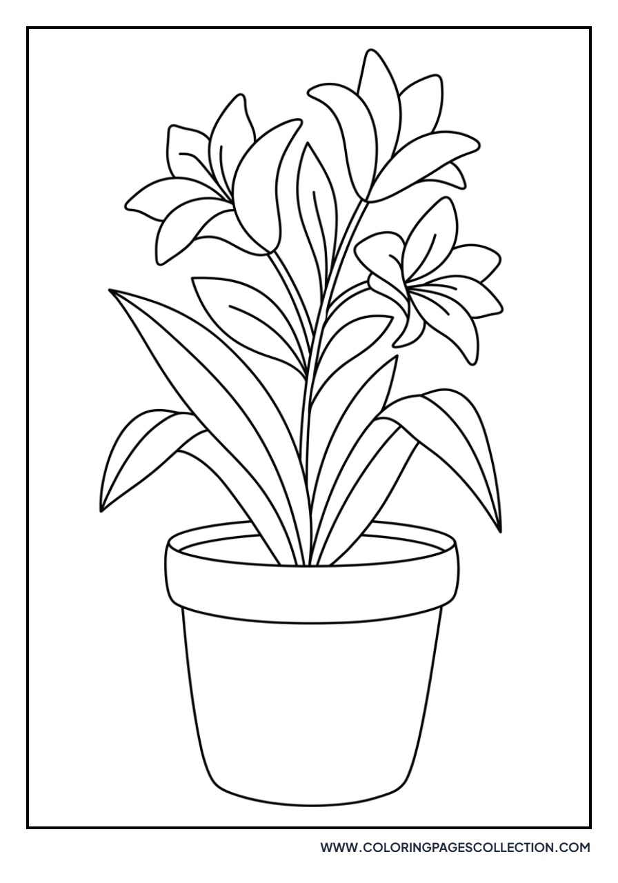 Lily in a Flower Pot