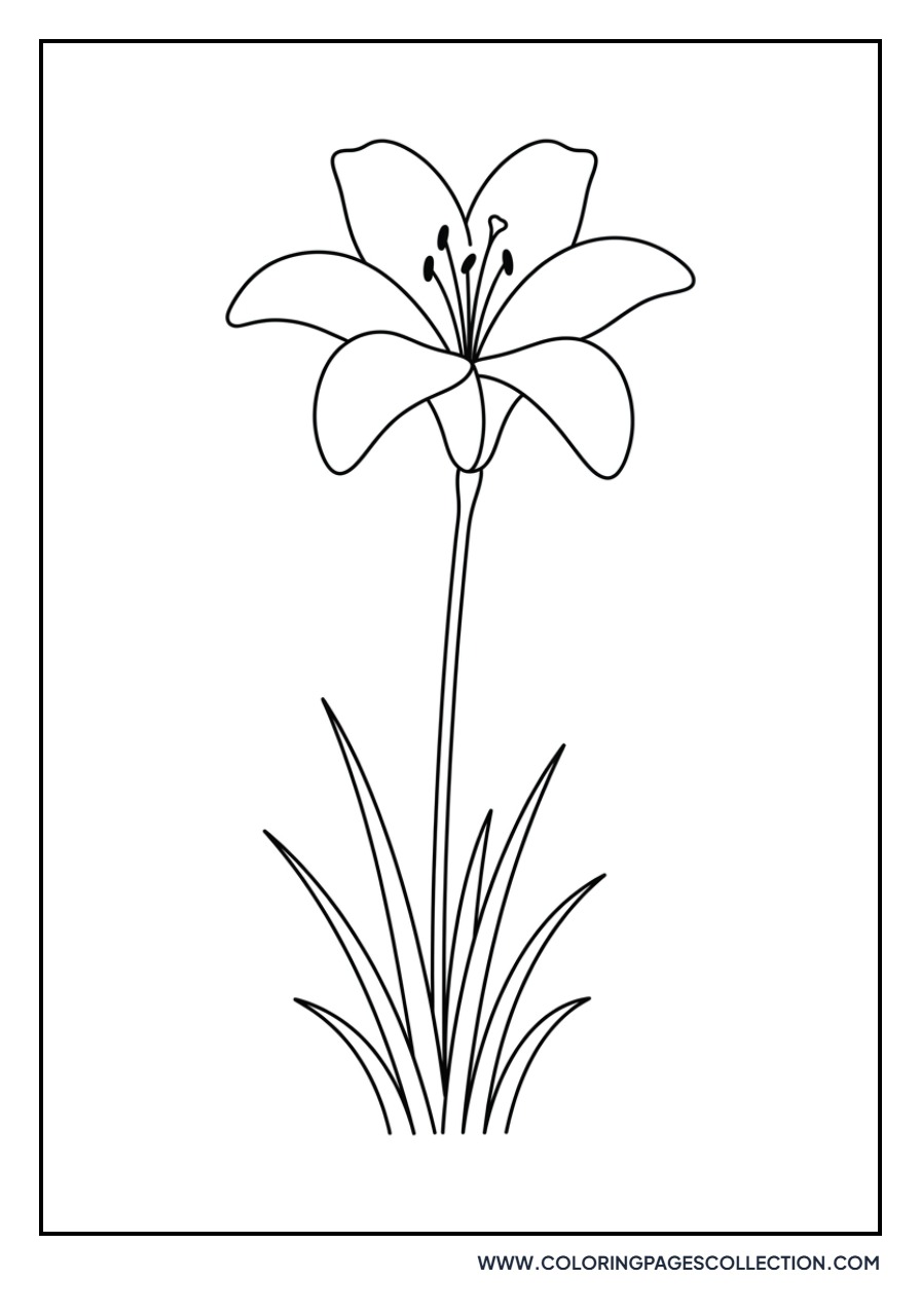 Lily in the Meadow