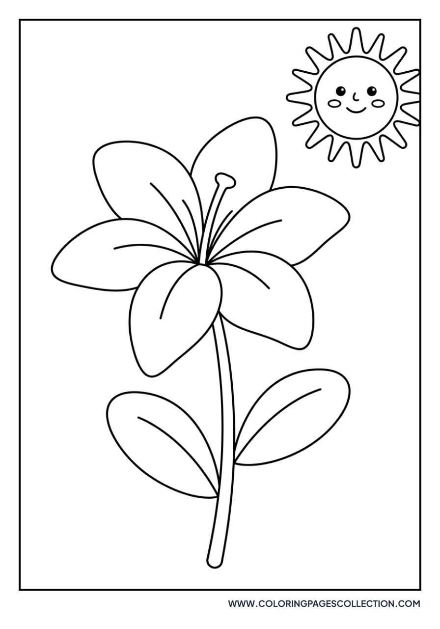 Lily in the Sunshine