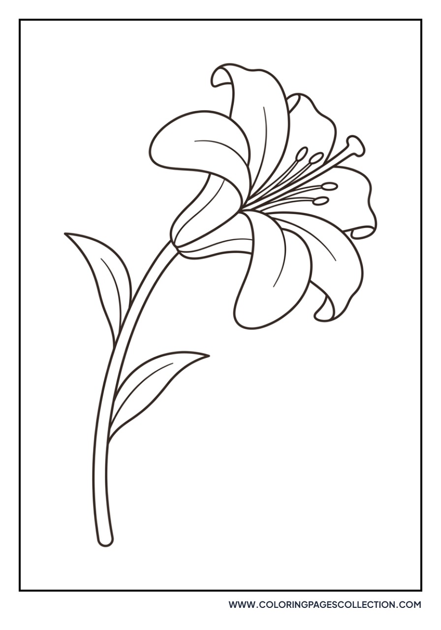 Lily in the Wind