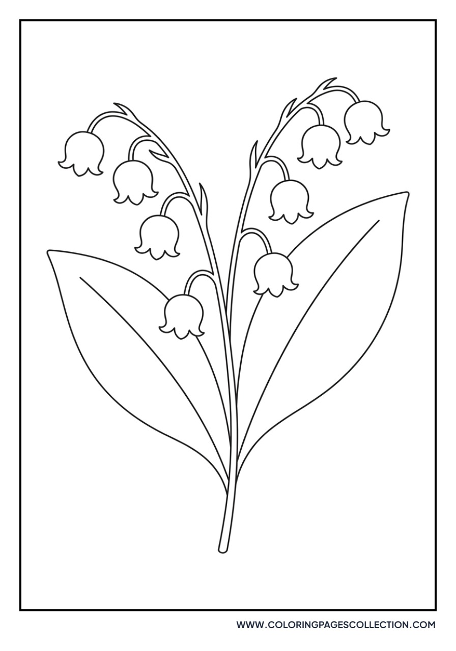 Lily of the Valley Bells
